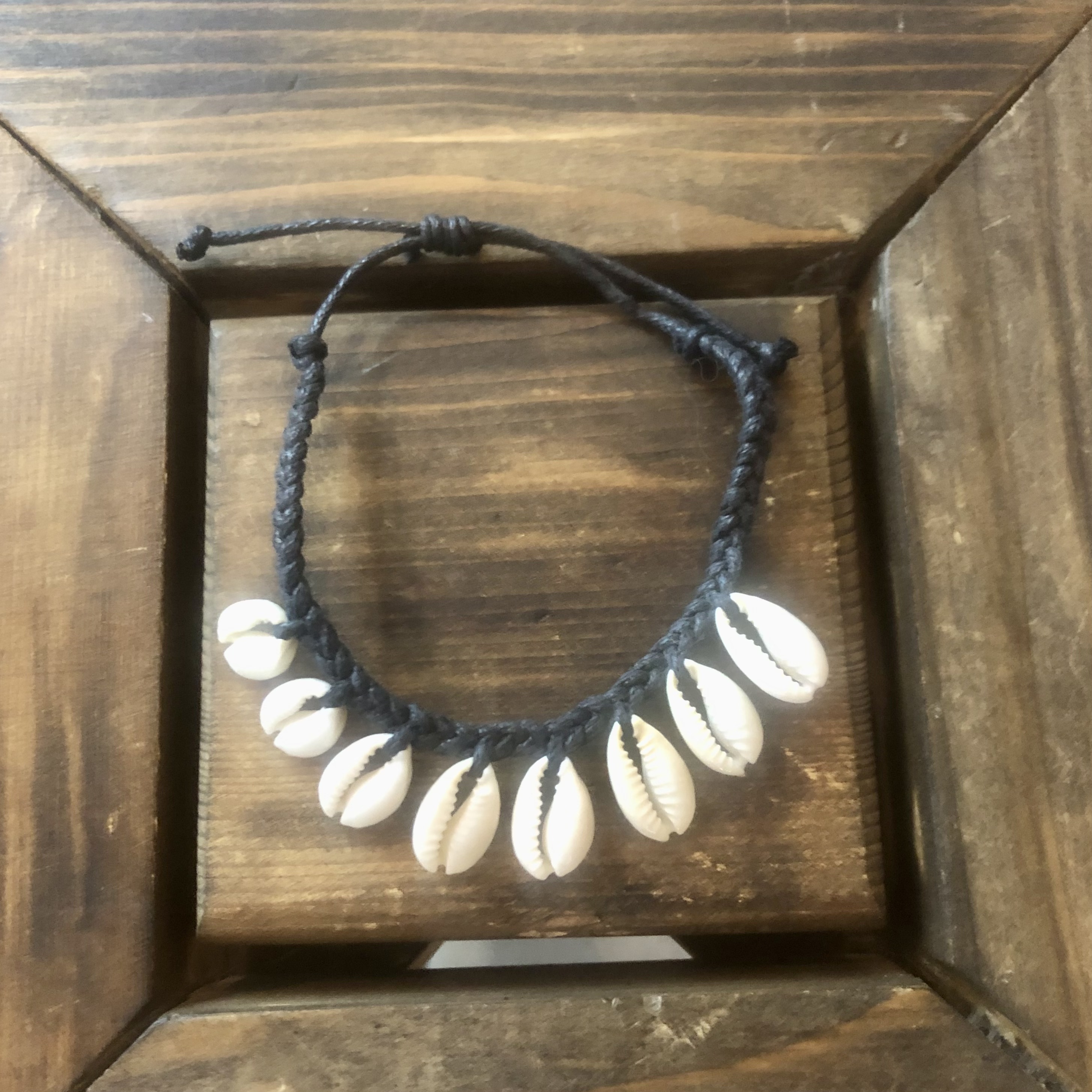 Halhal Deniz Kabukları