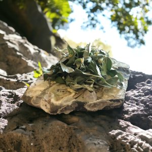 Doğadan Gelen Güzellikler