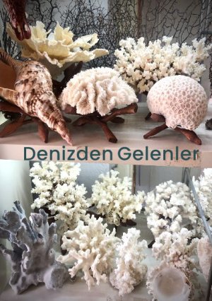 Denizden Gelenler